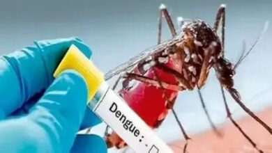 3 more dengue patients found in Dhanbad, 13 in one month