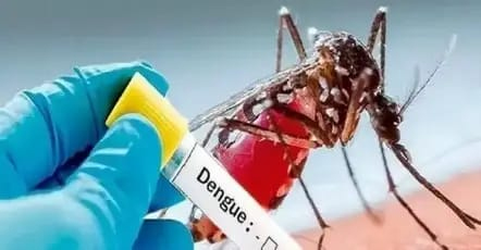 3 more dengue patients found in Dhanbad, 13 in one month