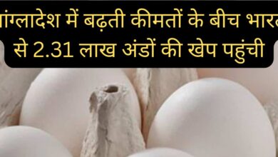 A consignment of 2.31 lakh eggs arrived from India amid rising prices in Bangladesh.