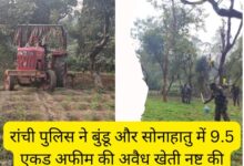 Ranchi Police Destroys Illegal Opium Cultivation in Bundu and Sonahatu