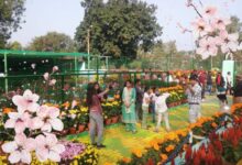 DVC Project Head inaugurates flower show