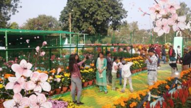 DVC Project Head inaugurates flower show