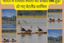 भारत ने दो नए रामसर स्थल (सिलिसेढ़ झील, कोपरा जलाशय) जोड़कर अपनी कुल संख्या 96 कर ली है।