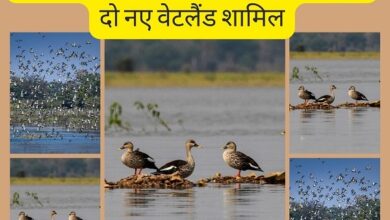 भारत ने दो नए रामसर स्थल (सिलिसेढ़ झील, कोपरा जलाशय) जोड़कर अपनी कुल संख्या 96 कर ली है।