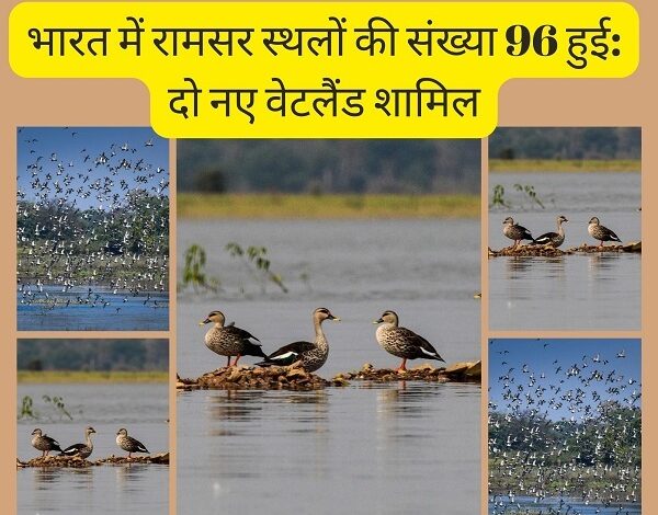 भारत ने दो नए रामसर स्थल (सिलिसेढ़ झील, कोपरा जलाशय) जोड़कर अपनी कुल संख्या 96 कर ली है।